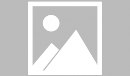 娱乐圈吃瓜封面小说,瓜田里的秘密风云